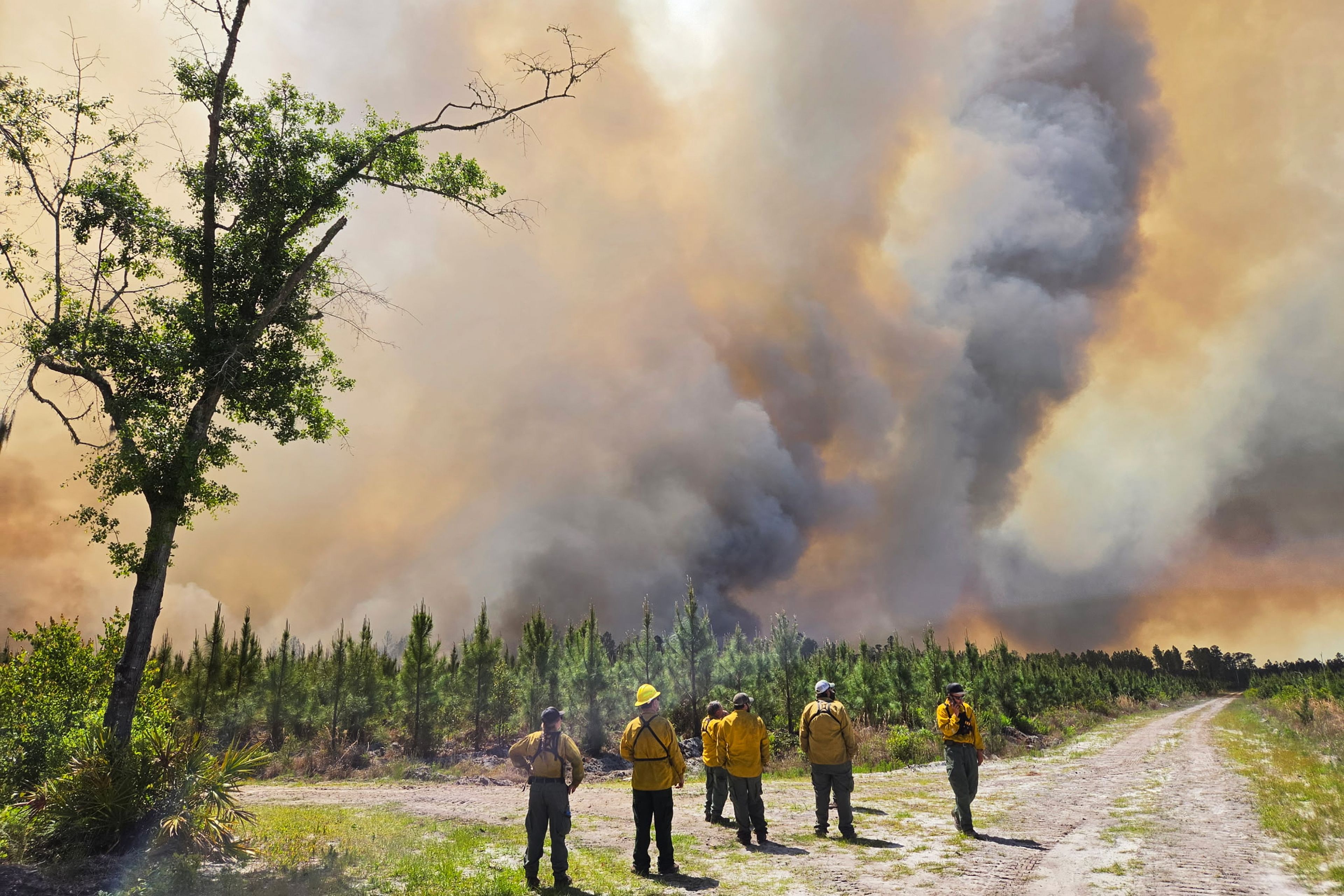 High-resolution wildfire burning through South Georgia pine forest