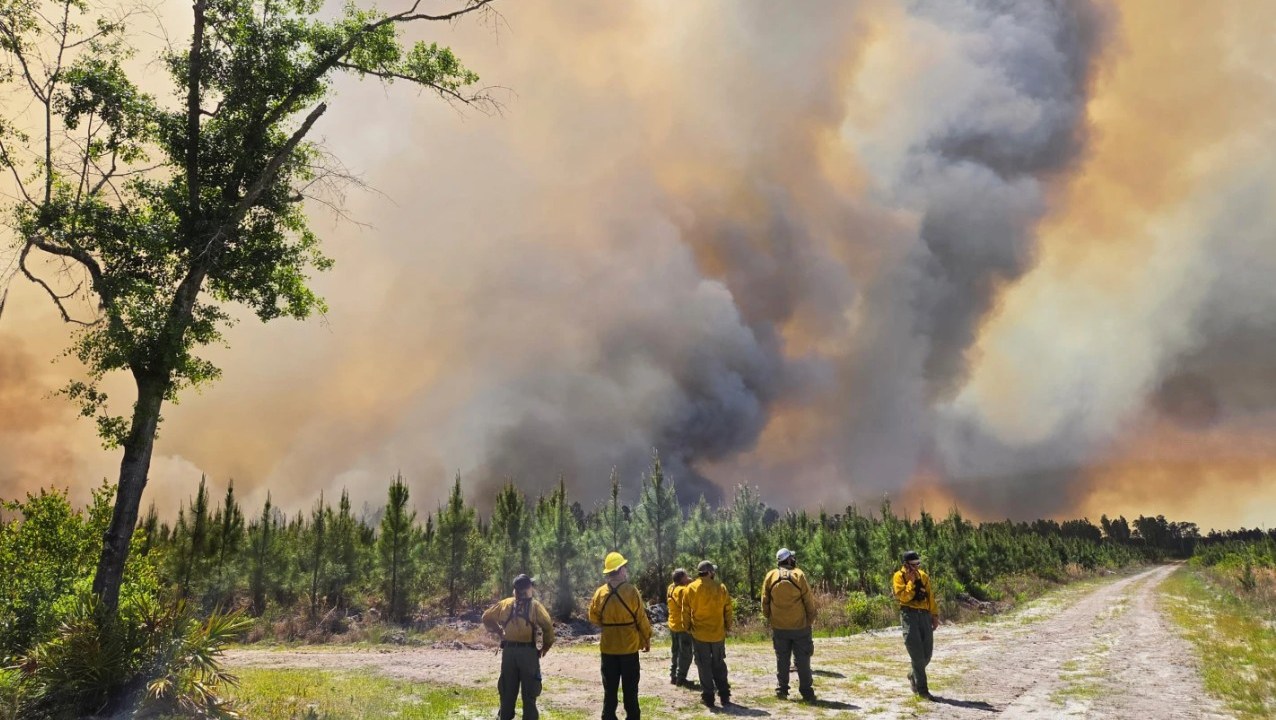 Firefighters facing wall of smoke from Pineland Road Fire