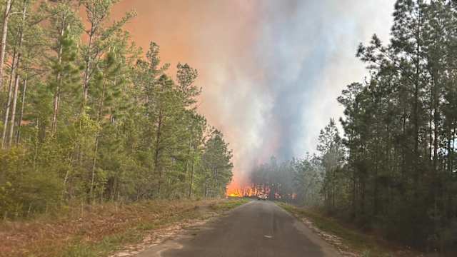 Firefighter battling wildfire along rural road in Brantley County